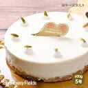 Wチーズタルト 5号 15cm径 ケーキ 生クリーム レアチーズ ベイクドチーズ 誕生日 ケーキ プレゼント ストロベリーフィールズ〔Wチーズタルト〕 その1