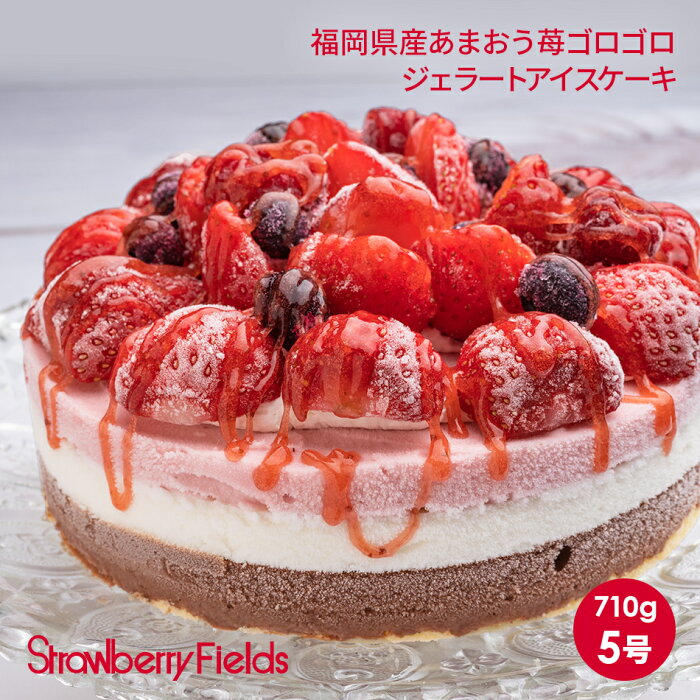 福岡県産あまおう苺ゴロゴロジェラートアイスケーキ