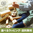 木のおもちゃ ちいさな大工道具セット 工具 トンカチ ドライバー 赤ちゃん 男の子 女の子 誕生日 プレゼント 出産祝い 送料無料 知育玩具 知育 0歳 1歳 ...