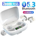 骨伝導イヤホン ごレビューで特典GET!Bluetooth5.3 高音質 骨伝導イヤホン 生活防水 会議/在宅勤務/散歩/スポーツにおすすめ 快適 音漏れ防止耳...