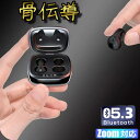 骨伝導イヤホン ごレビューで特典GET!Bluetooth5.3 高音質 骨伝導イヤホン 生活防水 会議/在宅勤務/散歩/スポーツにおすすめ 快適 音漏れ防止耳...