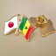 【送料無料】セネガル ラペルピン セネガル共和国 ジャパン 日本 アフリカ アフリカン ピンバッチ バッチ 旗 国旗 交友旗 日の丸 世界国旗 西アフリカ アフリカン雑貨 アフリカ雑貨 1,000円