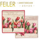 メール便 送料無料 フェイラー ハンカチ 25×25 アムステルダム Amsterdam Feiler Chenille Towel