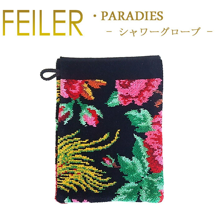 メール便 送料無料 フェイラー シャワーグローブ フープ付き 15cm×20cm ミット mit Chenille