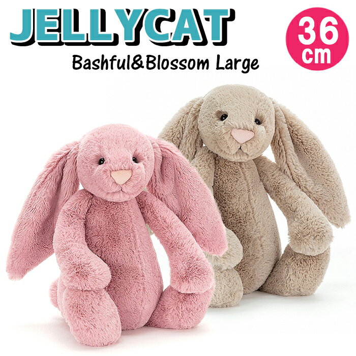 ꡼å/L/36cm/Хե/̤/JELLYCAT/Bashful