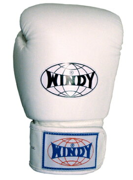 WINDY トレーニンググローブ マジックテープ 【ボクシング グローブ 格闘技 空手 総合格闘技 キックボクシング トレーニング strongsports】