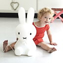 STAR LIGHT MIFFY 2