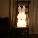 STAR LIGHT MIFFY 3