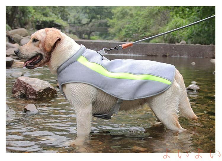 Rakuten - 犬服 猫服 大型犬 3XL 4XL 5XL 6XL 冷感 クール ウェア UPF50+ 濡らして着せる 濡らす クールベスト ベスト タンクトップ メッシュ 通気
