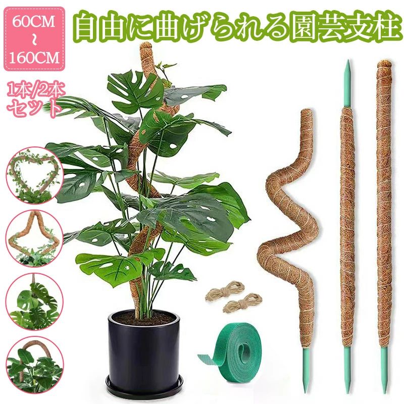Rakuten - 観葉植物 支柱 園芸支柱 曲げられる ココスティック モンステラ支柱 モンステラ 園芸用 植物 ココナッツ支柱 つる性植物 植物サポート
