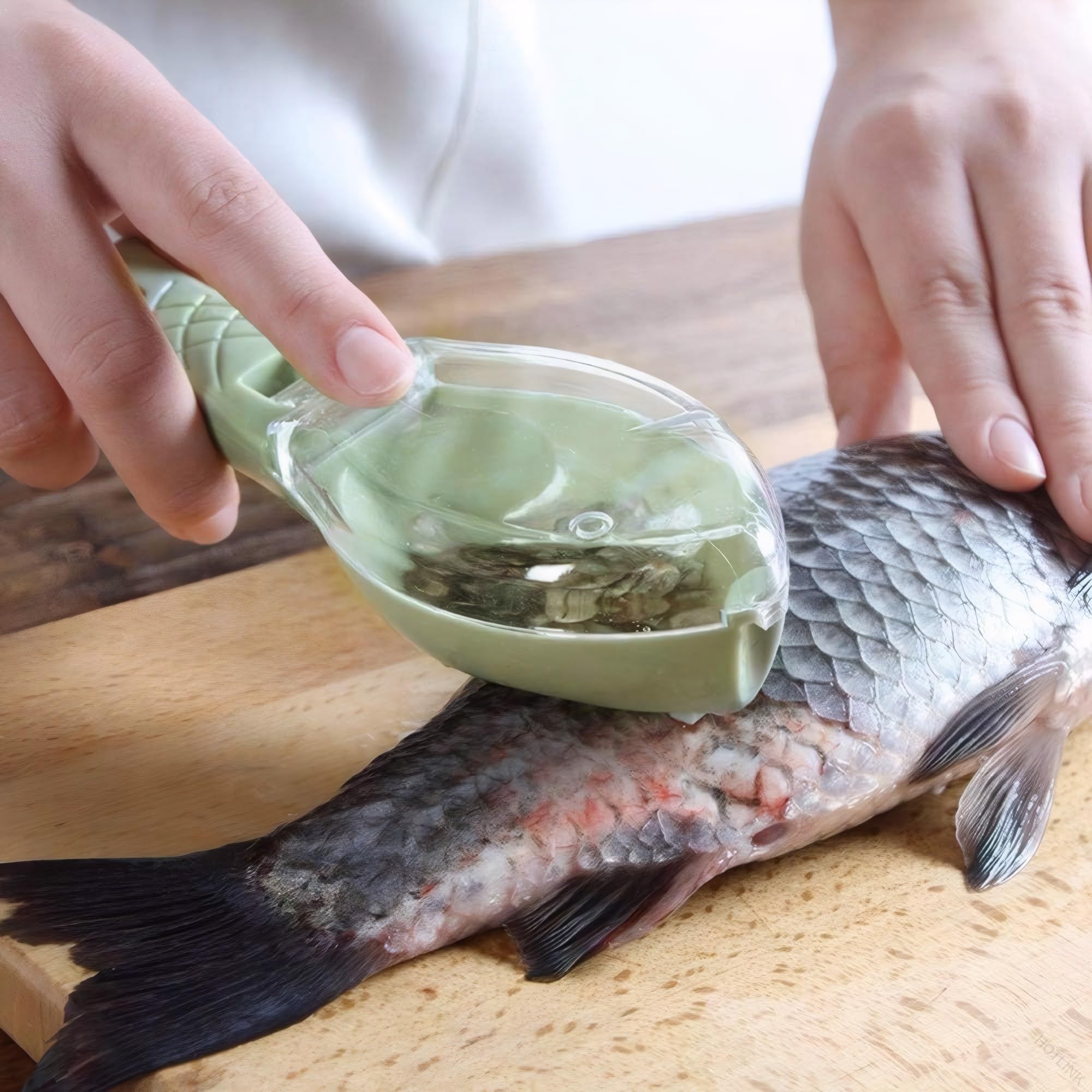 Rakuten - 魚のうろこ取り器 手動式 うろこ取り 魚スケーラー フタ付き 安全設計 魚を傷つけない 家庭用 魚処理 うろこ落とし 掃除簡単 ステンレス