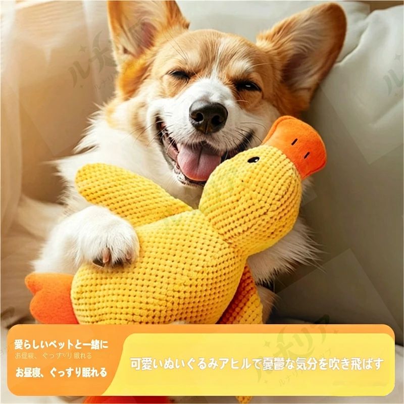 Rakuten - 犬用 鳴くおもちゃ ふわふわ アヒル ストレス解消 歯固め 噛むおもちゃ 耐久性 留守番対策 小型犬 中型犬 大型犬 ペットグッズ