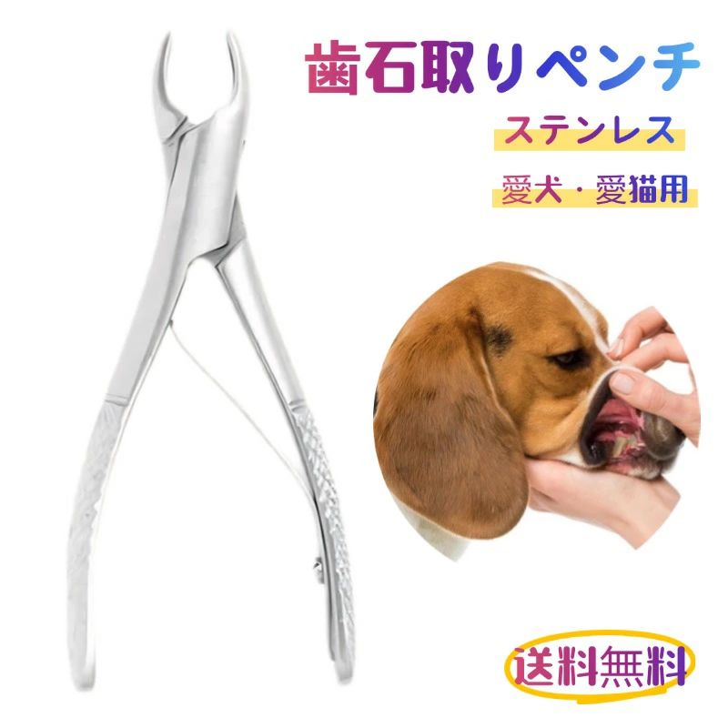 愛犬・愛猫用 歯石取り ペンチ 犬 歯石 デンタルケア ホームケア 猫 プロも愛用