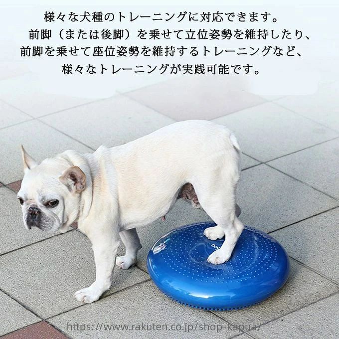 バランスディスク 犬用 ペット ドッグバランスディスク リバーシブル ペット用 小...