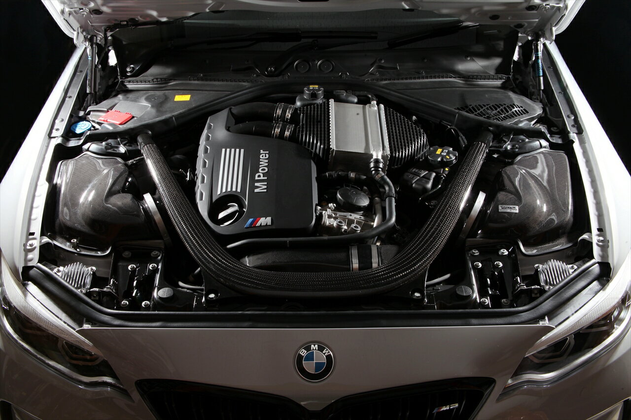 GruppeM（グループエム）RAM AIR SYSTEM(ラムエアーシステム)BMW F87 M2 Competition