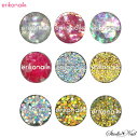 erikonail collection エリコネイル ジュエリーコレクション ERI-61/ERI-62/ERI-64/ERI-65/ERI-67/ERI-68/ERI-70/ERI-71/ERI-72 ラメ・フィルム ホログラム レジン パーツ ケース ネイルパーツ スター ハート