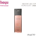 メール便送料無料 PROMASTER COLOR CARE プロマスターカラーケア リッチシャンプー 250ml 同梱不可