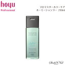 [֑ PROMASTER COLOR CARE v}X^[J[PA J[~[Vv[ 250ml s