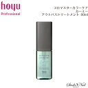 PROMASTER COLOR CARE プロマスターカラーケア カーミーアウトバストリートメント 80ml