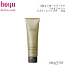 PROMASTER COLOR CARE プロマスターカラーケア スタイリッシュ ラスティングアフター 36g