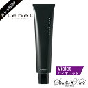 edol yoyo エドルヨヨ ファッションカラー Violet バイオレット 120g おしゃれ染め 1剤 プライマリーライン lebel ルベル