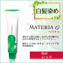 ルベル マテリアG R (レッド系) 120g ヘアケア 白髪染め 全体染め用 業務用 染毛剤 ヘアカラー カラー剤 R-10G R-8G R-6G 2