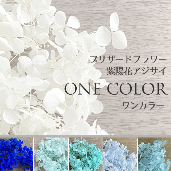 楽天市場】ティファニーブルー(花・ガーデン・DIY)の通販 楽天市場】ティファニーブルー(花・ガーデン・DIY)の通販