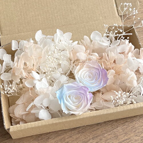 �᡼����(����͹��)����̵�� �ץꥶ���֥ɥե� �ѥ��ƥ�ߥå����ѡ��� �Х� 2�ء��ۥ磻�� �ԥ󥯥١����� �����������ۥ磻�ȥ����ߥ��� �ֺॻ�å�