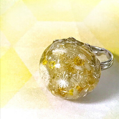 �ĥᥭ�� �쥸�󥯥�� ���� RC-WTG-101