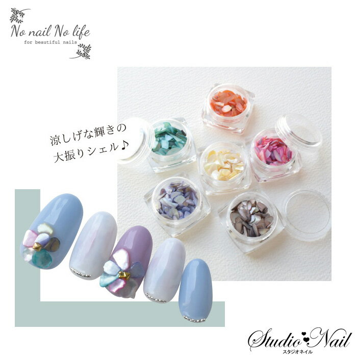 【訳あり・在庫処分品】在庫処分 NO NAIL NO LIFE シェルストーン コンテナ入り 全6色 天然石 ネイルパーツ デコパーツ レジン シェル シェルストーン シェルフラワー サマー 夏 大きめ 存在感