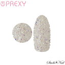 プリクシー PREXY ジルコン オーロラ SS10/SS15 ネイルパーツ
