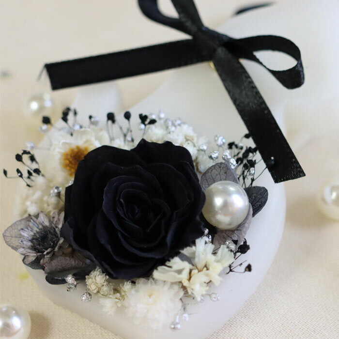 ¨���в� ¨Ǽ �����ޥ�å��������� ��ͥ� �֥�å��Х� ��Υȡ��� ���ȥ��ͥ�ι��