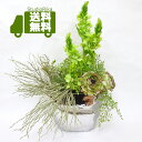 ラナンキュラス オーニソガラム モダン アレンジ 高さ 50cm インテリア プレゼント ギフト スタイリッシュ おしゃれ 造花 アーティフィシャルフラワー 高...