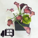 ラナンキュラス カラー モダン アレンジ 変形 変わった 生け花 斬新 アーティスティック インテリア プレゼント ギフト おしゃれ 造花 アーティフィシャルフラワー アートフラワー 高級 アレンジメント 送料無料 母の日