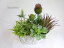 高級 造花 人工観葉植物 多肉植物 エケベリア ティランジア アザミ グリーン 寄せ植え アレンジ ジャングル 熱帯 フェイク グリーン ボタニカル インテリア 雑貨 枯れない 本物 リアル 翌日 即日
