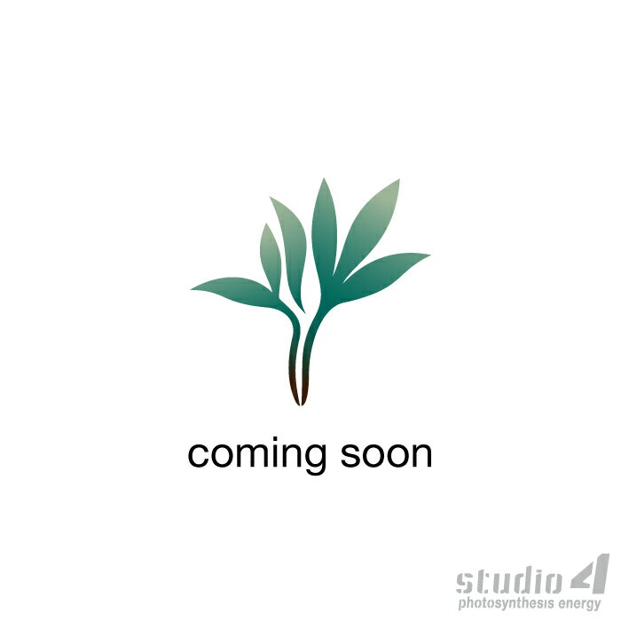 其它 - studio4 ［オリジナルカスタム］パーカー ブラック グレー S〜L ［ギフト対応］［送料無料］［ポイント2倍］