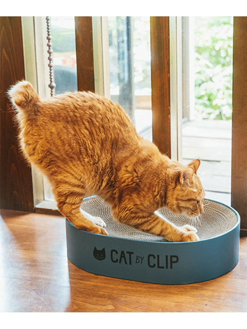 乐天商城 - ラウンド爪とぎ[CAT BY CLIP] studio CLIP スタディオクリップ ペット用品 ペット用おもちゃ ブルー[Rakuten Fashion]