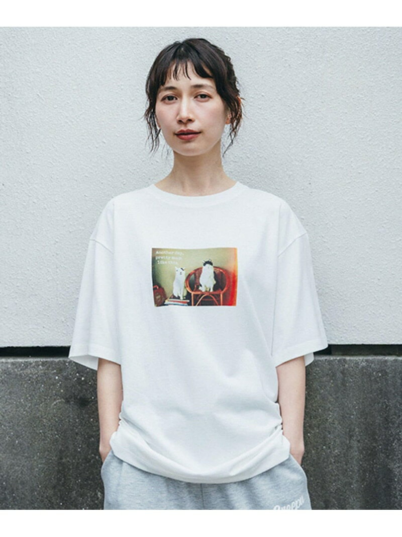 乐天商城 - フォトTシャツ[パンチョとガバチョ] studio CLIP スタディオクリップ トップス カットソー・Tシャツ【送料無料】[Rakuten Fashion]