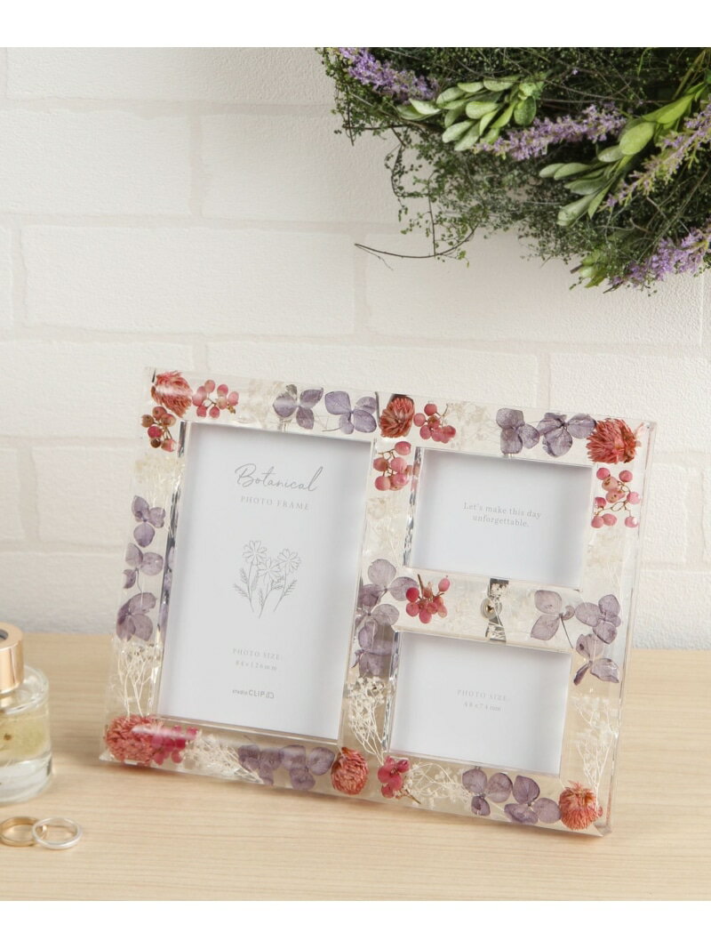 封入フォトフレーム 3連 studio CLIP スタディオクリップ インテリア・生活雑貨 フォトフレーム・写真..