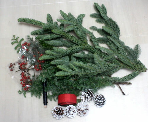 モミの木とヒムロスギのクリスマス