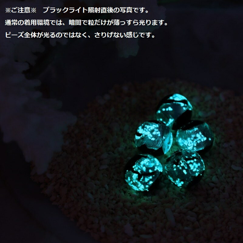 ���� ���ȥ�å� �ۥ��륬�饹 �ߤβ� �������ӡ��� ��ʪ ������� ���꡼�� ��