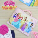 ディズニー プリンセス レッスン バッグ 入園 入学 新学期 登園 通学 習い事 おけいこ おひめさま かばん 絵本袋 お稽古 進学 小学生 幼稚園 学童　メール便送料無料