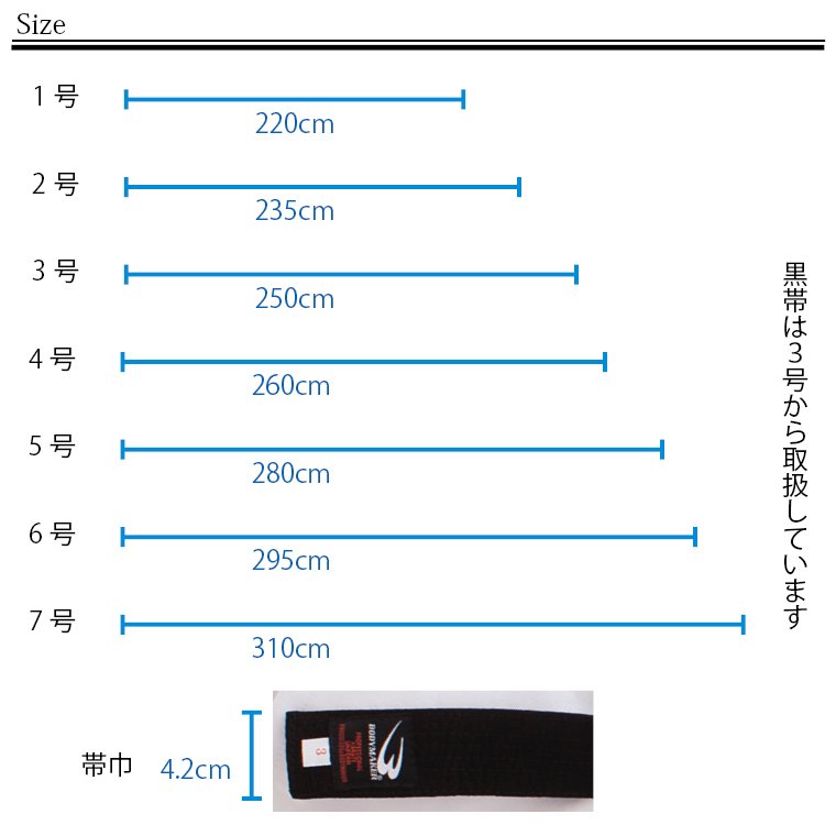 BODYMAKER ボディメーカー 　色帯　空手 格闘技 昇級 武術 送料無料
