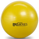 D&M ディーアンドエム エクササイズボール 直径45cm #SDS-45(4)