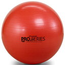 D&M ディーアンドエム エクササイズボール 直径55cm #SDS-55