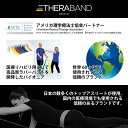 D＆M ディーアンドエム THERABAND(セラバンド)　セラループ 円周90cm 強度レベル0 レッド #TLB-2 3