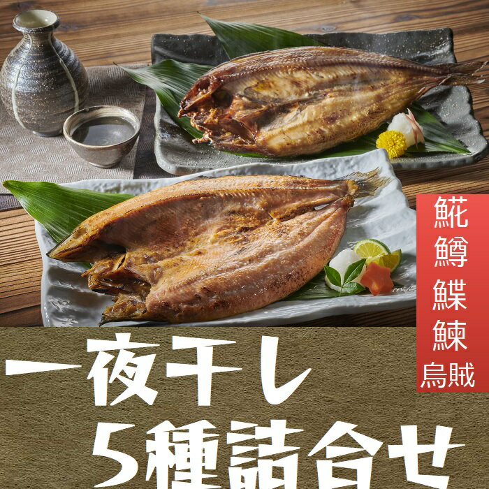 北海道民 一夜干し 5点セット 詰合せ ほっけ いか にし...