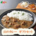 北海道 山のカレーギフトセット YU-G1 お土産 贈答 プレゼント 御祝 誕生日 クリスマス STV 札幌テレビ