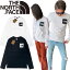 ザ ノースフェイス 長袖 Tシャツ ロンT ファイン NF0A8A6P ボックスロゴ プリントロゴ クルーネック ユ..