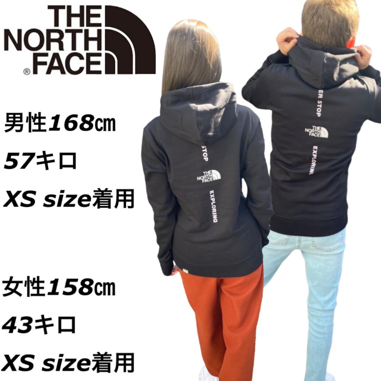 ザ ノースフェイス パーカー スウェット バックロゴ バーチカル フーディー NF0A7ZLC 裏起毛 メンズ レディース THE NORTH FACE MENS VERTICAL NSE HOODIE